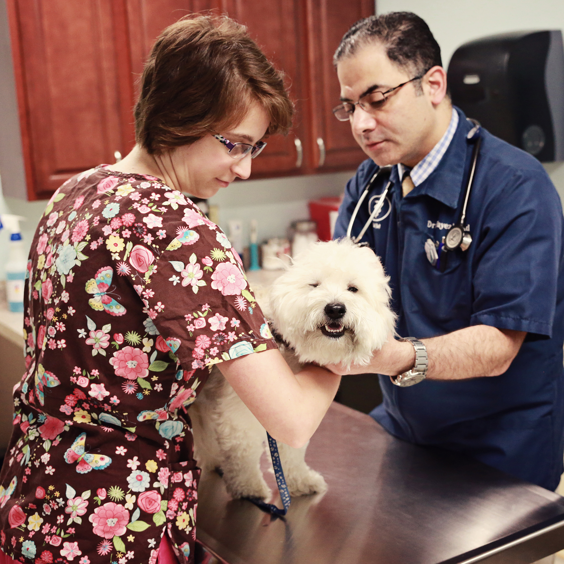 Photo includes Dr. Assad (right) working with a veterinary assistant student (left) during a clinical session. Photo taken by Sean McCool, Pennsylvania Highlands Community College.