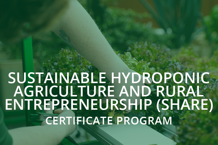 Sustainable Hydroponic Agriculture and Rural Entrepreneurship